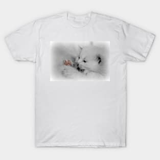 Little Baby Bean Toes T-Shirt